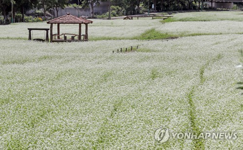 마을공방 만들고 축제 신설하고…춘천시 강촌 활력넣기 안간힘