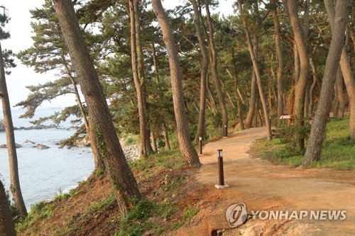 '한눈에 들어오는 울산 관광' 전자책으로 관광 정보 서비스