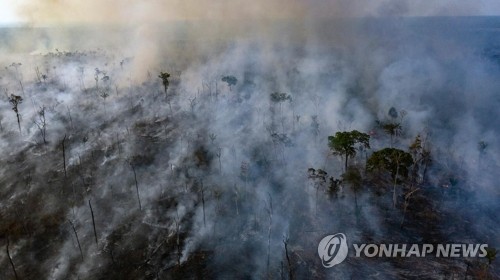 브라질 환경장관 "아마존 화재감시원 증원 예산 확보 못 해"