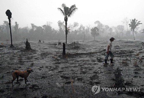 "지구의 허파 함께 지키자"…아마존 국가 정상들 협약 체결