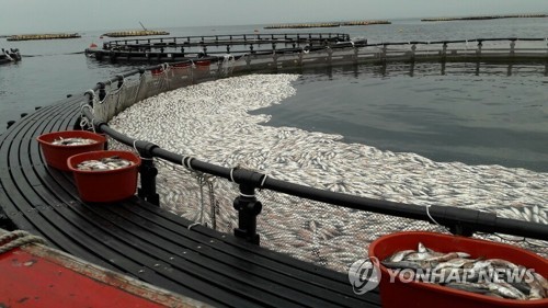 남해 적조 확산…국립수과원·지자체 추석 연휴에도 비상근무