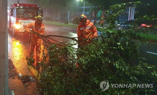 태풍 링링 제주 강타…1만3천여가구 정전, 시설물 피해 속출