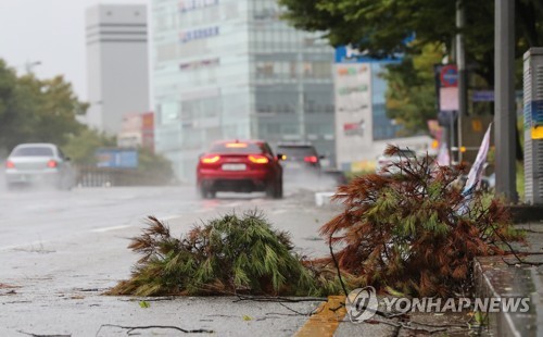 대구서 강한 바람으로 아파트 곳곳 정전… 30분만에 복구