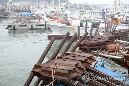 태안에 초속 43ｍ 강풍…대전·충남 가로수 쓰러지고 한때 정전(종합)