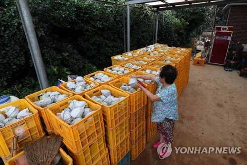 광주·전남 9일까지 최고 150㎜ 비…태풍 피해 복구 차질