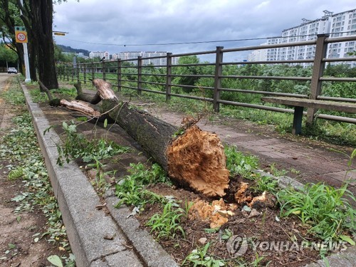 전북도, 태풍 피해 복구 박차…현장실사 후 지원인력도 파견