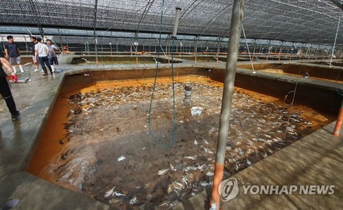 태풍 '링링'이 할퀸 주말…인명·시설 피해에 정전까지