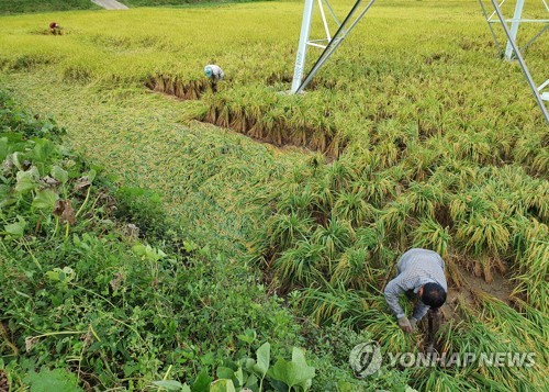 초속 41.2ｍ 강풍에 '휘청'…덮치고 할퀴고 강원 피해 속출