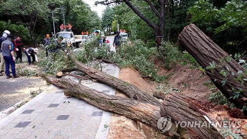 태풍 '링링'이 할퀸 강원…274건 피해 신고·1명 부상