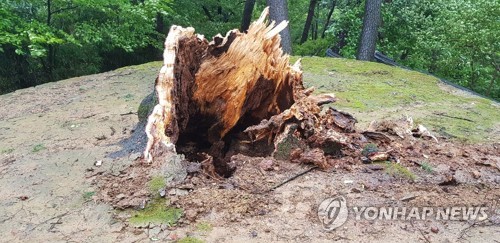 태풍 '링링'이 할퀸 주말…인명·시설 피해에 정전까지