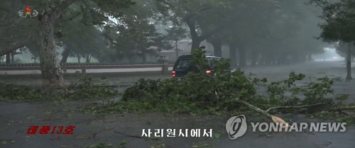 가로수 뽑히고 담장 무너지고…링링 북상에 北도 피해속출(종합2보)