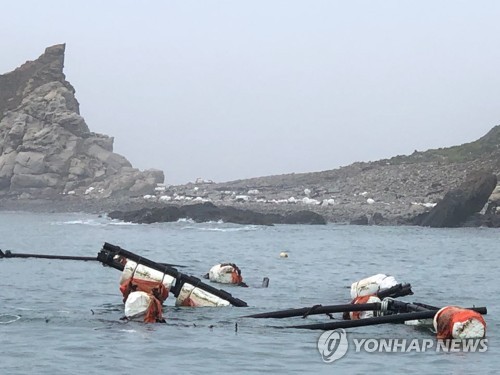 [르포] "상품성 좋은 우럭들인데…" 쑥대밭 된 흑산도 양식장(종합)