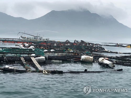 '묶고, 대피시키고' 수과원 양식장 태풍 피해 최소화 당부