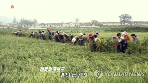 北, 태풍 피해복구에 軍투입 총력전…'민생안정' 강조 눈길