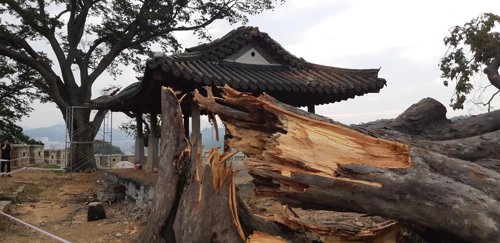 인천시, 태풍 복구작업 구슬땀…"추석 전 응급복구 완료"