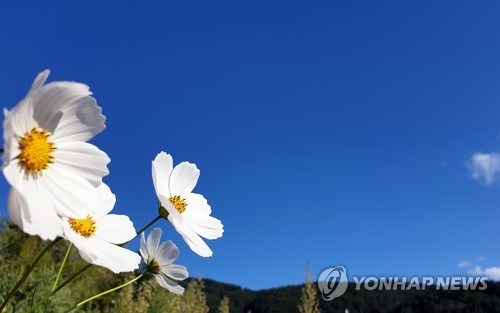 강원 낮과 밤 기온차 커…산지·내륙 짙은 안개 "교통안전 주의"