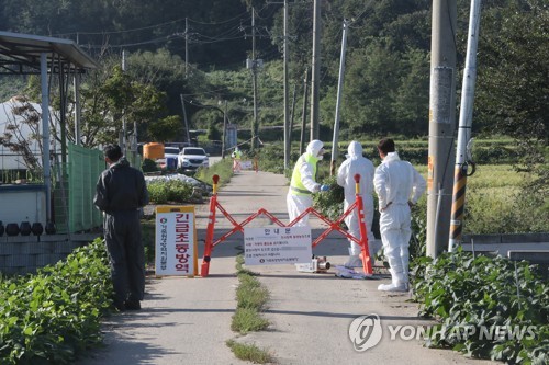 48시간 돼지농장 이동중지…전국 양돈농장 6300곳 예찰