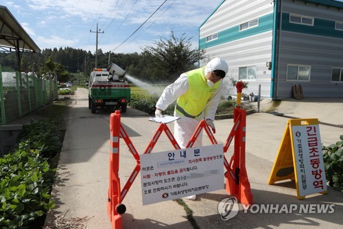 "아프리카돼지열병, 사람감염 안돼…돼지고기 섭취 안심"(종합)