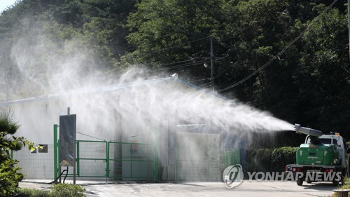 경북 아프리카돼지열병 차단 총력…24시간 비상 대응(종합)