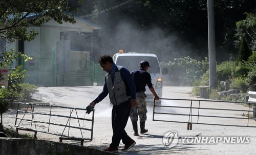 "반드시 막아라" 강원 접경지 아프리카돼지열병 차단 '초비상'