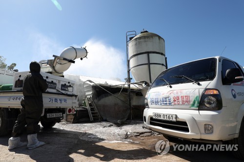 "소독·차단 외에는 방법이 없다"…양돈 농가들 방역 '안간힘'