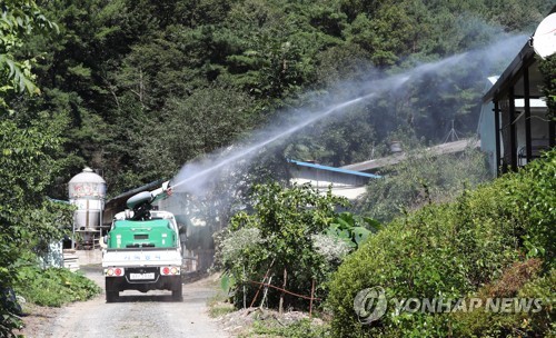 "돼지열병 백신 없고 경로 몰라 더 불안"…사육 농가 '속수무책'