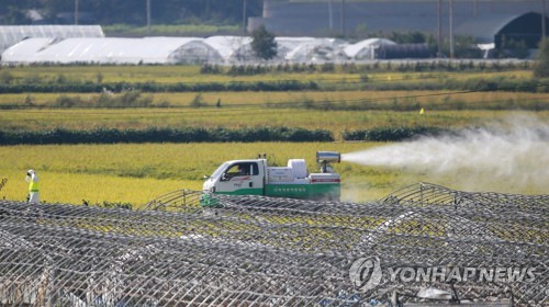 아프리카돼지열병 확산하나…경기 연천서도 의심 신고 나와