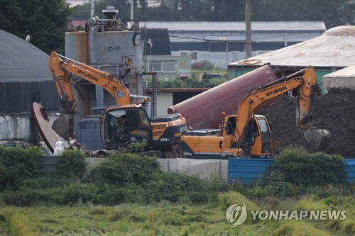 아프리카돼지열병 살처분 5000마리 넘어…이산화탄소로 안락사