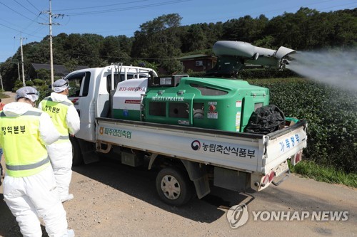 돼지열병 감염경로 오리무중…"발생 농가간 차량이동 없어"