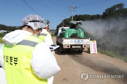 돼지열병 확산에 매뉴얼보다 강한 방역…"3㎞내 예방적 살처분"