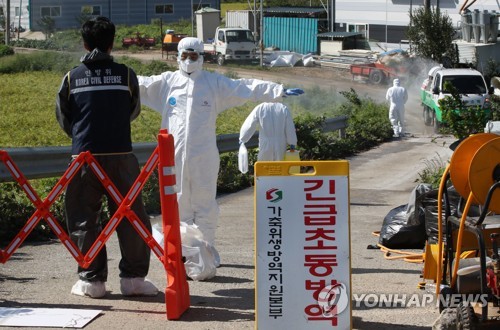 北통신 "파주서 돼지열병 발병"…南매체 인용해 전해