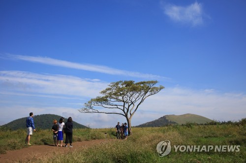 내일 아침 일부 지역 10도 미만으로 '뚝'…날씨는 계속 쾌청