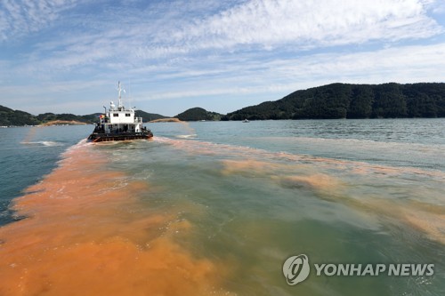 남해안 적조 피해 눈덩이…양식어류 220만마리 폐사 36억원