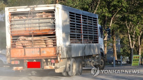 경기·인천·강원지역 돼지 이어 소도 충남으로 반입 금지