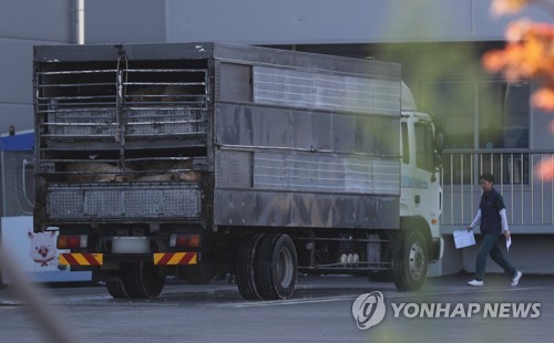 돼지 이동중지명령 해제…"거래 재개로 돼지고깃값 안정 예상"