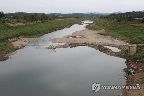 임진강 등 접경하천서 ASF바이러스 미검출…감염원 오리무중