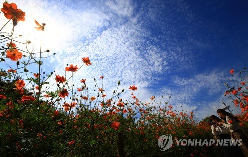 [날씨] 아침저녁으로 쌀쌀…10도 내외 큰 일교차