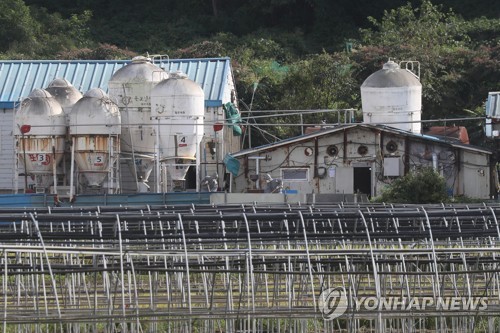 돼지열병, 가축보험 적용 안 돼…"법정전염병은 보장 제외"