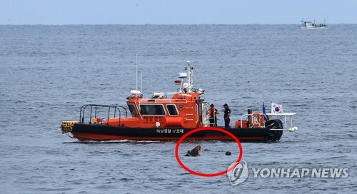 강원 고성 앞바다서 난파한 북한 목선 발견…"대공 용의점 없어"(종합)