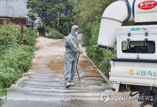 경기 파주 의심농가 2곳 아프리카돼지열병 음성 판정