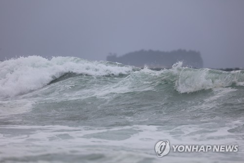 '물폭탄' 안은 태풍 '타파' 22일 15시 제주·22시 부산 최근접