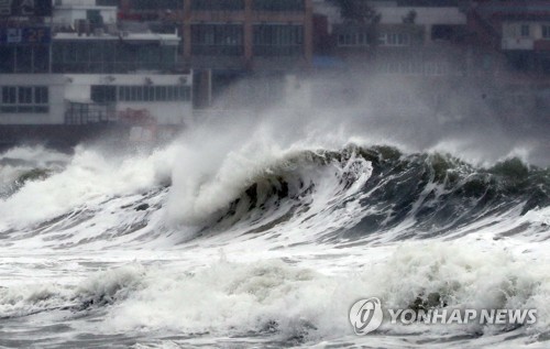 강원도 태풍 대비태세…초속 45m 강풍·250㎜ 호우 예보