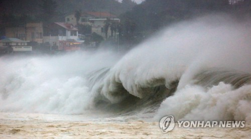 태풍 '타파'로 무너지고, 잠기고…제주 105건 피해 접수