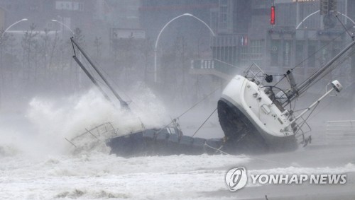 태풍 '타파'때 산산조각난 요트…19세 청년의 꿈도 부서졌다