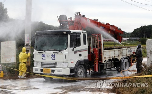 '한강 이남' 김포서 아프리카돼지열병 의심 신고…방역 초비상