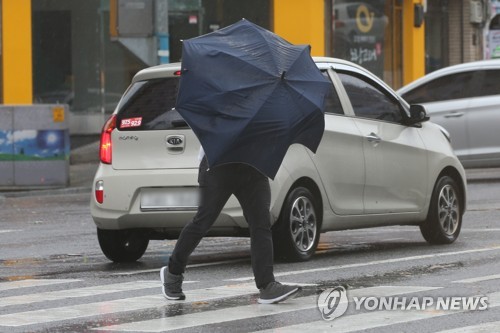 태풍에 유리창 깨지고 농경지 침수…광주·전남 5명 부상