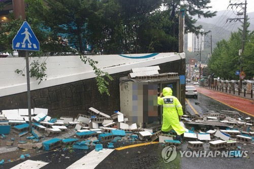 초강력 가을 태풍 타파…육해공 올스톱에 인명피해 속출