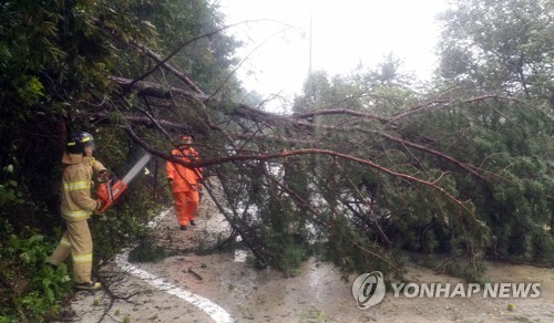 태풍으로 전북 주택·창고 4곳 파손…농경지 49㏊ 피해(종합)