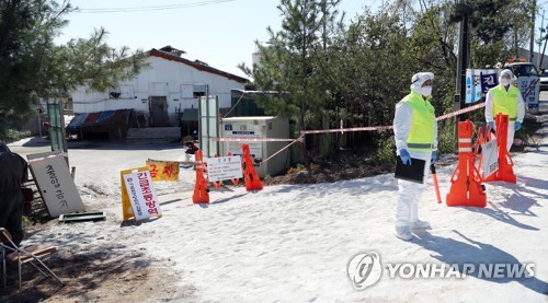 아프리카돼지열병 한강 넘어 남하…발생 일주일 감염경로 '깜깜'