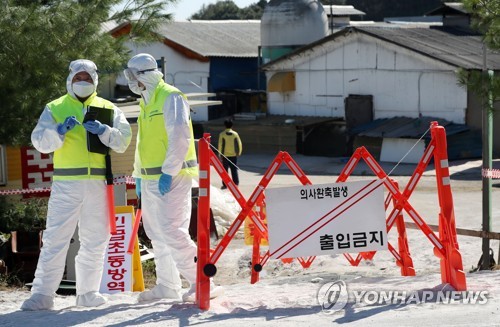 아프리카돼지열병 방역 기관 3곳 '특별연장근로' 신청